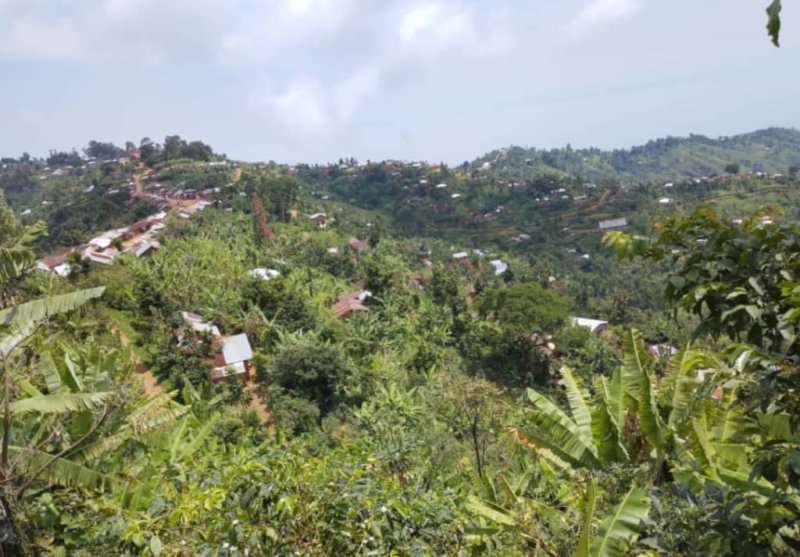 Nord-kivu : A la suite des escarmouches entre deux agents de l'ordre, un civil blessé par balle sur son organe génital à Mubana-lac