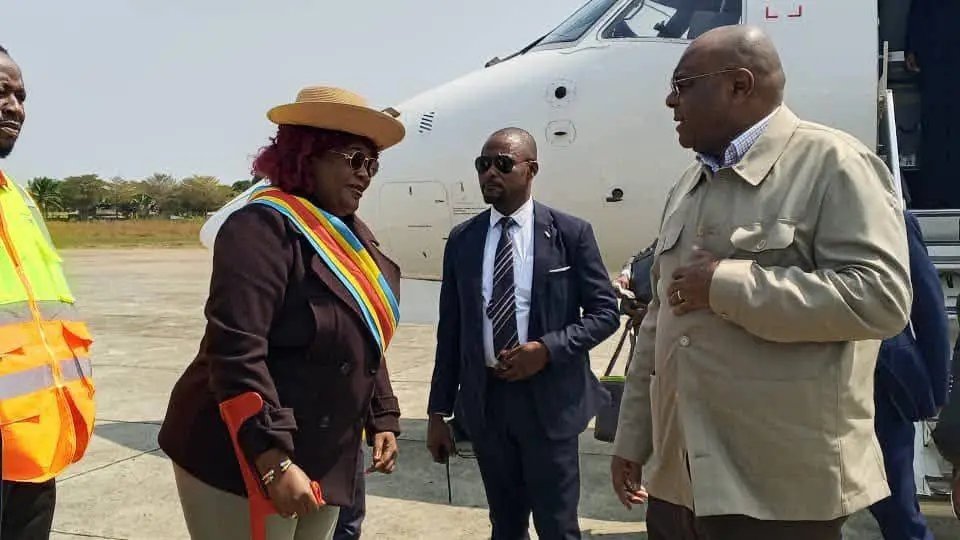 La mort d'une baleine à Muanda : Jean-Pierre Bemba urgemment dépêché