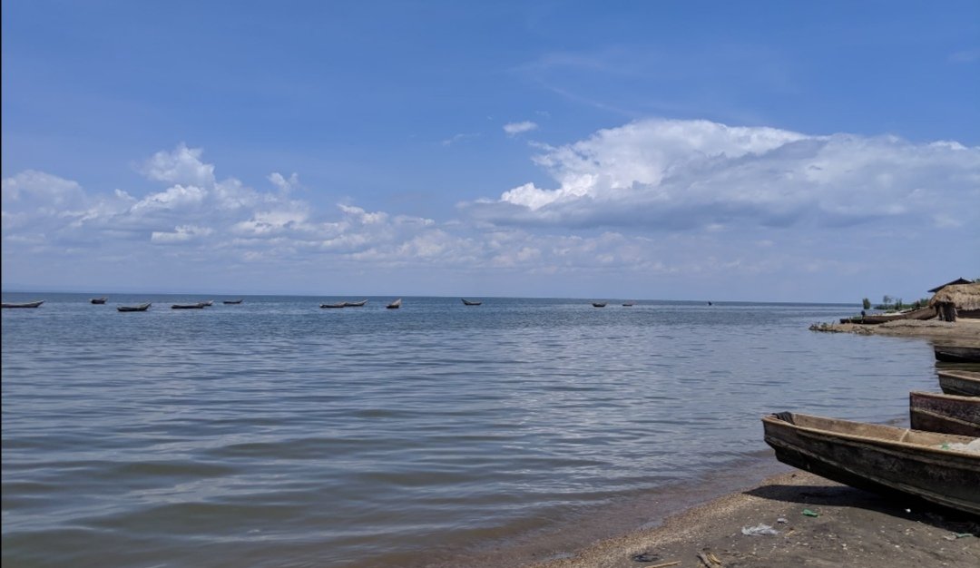 Rutshuru : un pêcheur grièvement blessé par un hippopotame sur le lac Édouard