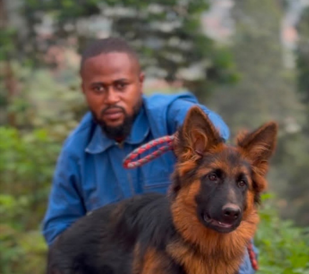 À Butembo, un jeune transforme l’élevage de chiens de race en opportunité économique