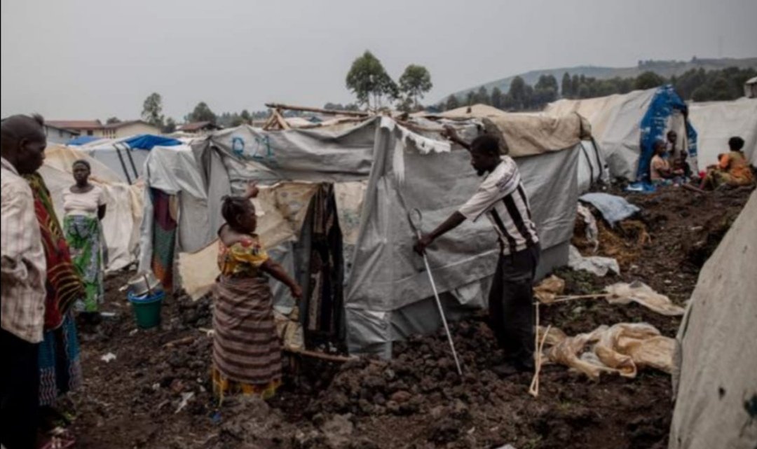 Sud-Kivu : le MSCO alerte sur la dégradation des conditions de vie des déplacés à Kalehe