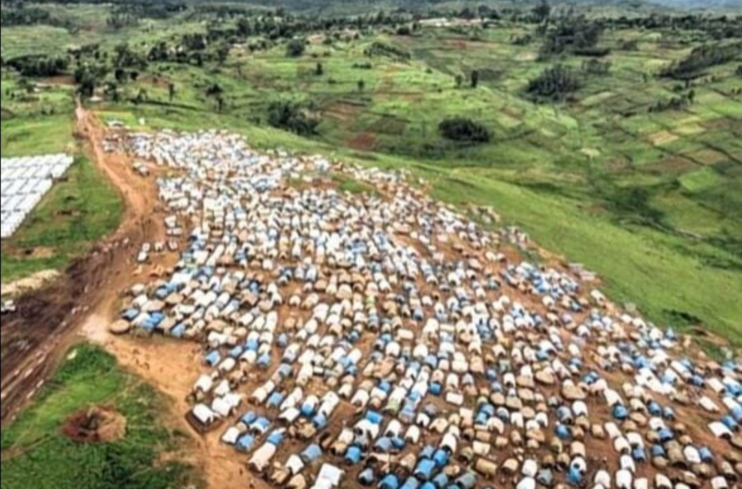 Ituri : plus de 24 000 personnes déplacées par les violences armées dans le territoire de Djugu